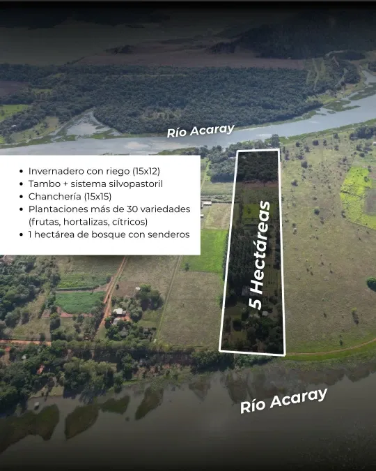 Terreno de 50.000 m² à venda em Ciudad del Este